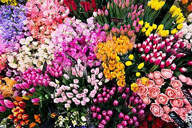 3DM速报：《生化8》Steam年度最佳！《赛博朋克2077》重启被辟谣