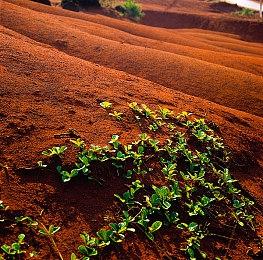 系列制作人确认《勇者斗恶龙3HD》新消息很快公布